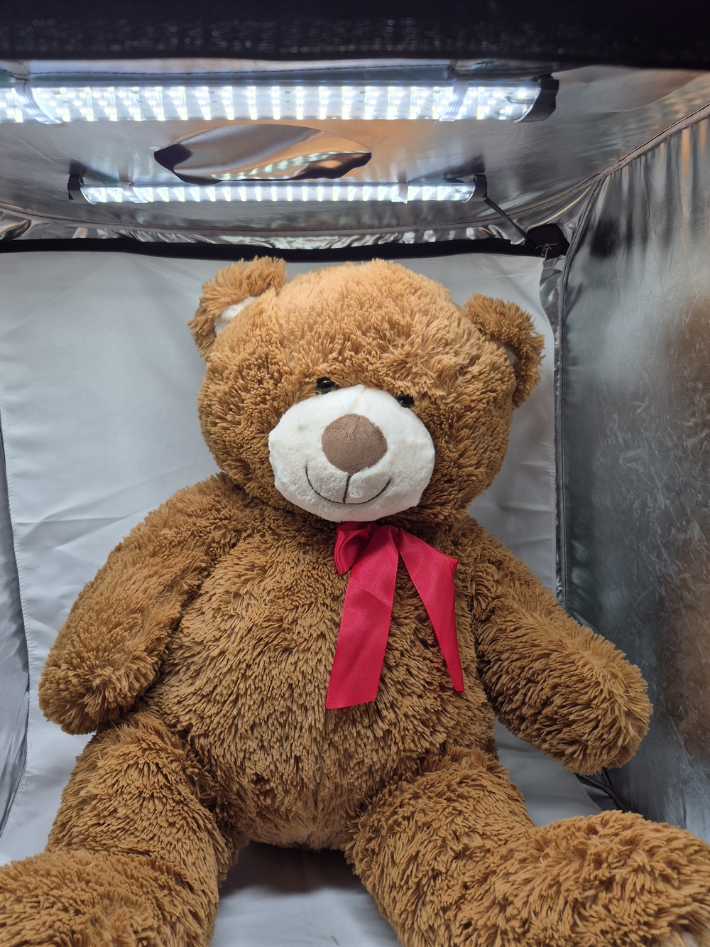 Large Brown Plush Teddy Bear With Pink Bow - Soft Kids Toy View 2